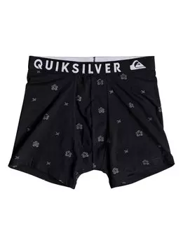 Трусы мужские QUIKSILVER Boxer Poster M Quiet Shade