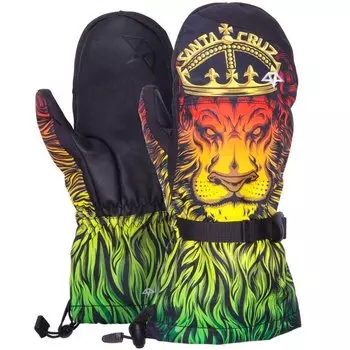 Варежки CELTEK Gore Tex El Nino Over Mitten Sc Lion God