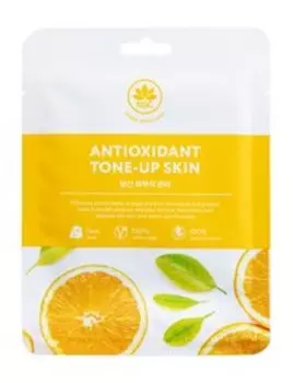 Антиоксидантная тонизирующая тканевая маска для лица NSC Name Skin Care Antioxidant Tone-Up Skin Face Mask