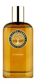 Духи DiVina Terra Ci Vediamo Extrait de Parfum