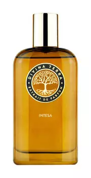 Духи DiVina Terra Intesa Extrait de Parfum