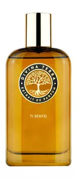 Духи DiVina Terra Ti Sento Extrait de Parfum