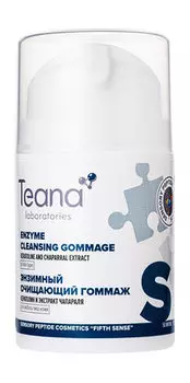 Энзимный гоммаж-эксфолиант для глубокого очищения пор Teana S Enzyme Cleansing Gommage