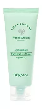 Крем для проблемной кожи лица с экстрактом центеллы азиатской и церамидами Dermal Cica & Ceramide Facial Cream
