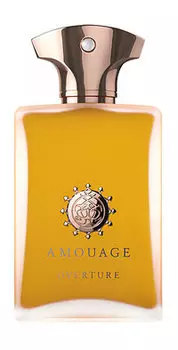 Парфюмерная вода Amouage Overture Man Eau de Parfum