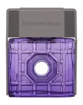 Парфюмерная вода Stefano Ricci New York Eau de Parfum