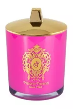 Парфюмированная свеча с деревянным фитилем Tiziana Terenzi Kristina 2022 Scented Candle Gioconda