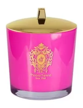 Парфюмированная свеча с тремя деревянными фитилями Tiziana Terenzi Kristina 2022 Scented Candle Camino
