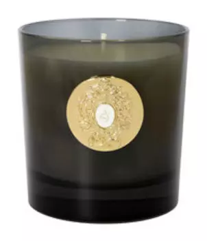 Парфюмированная свеча Tiziana Terenzi Halley Black Glass Candle