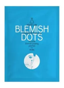 Патчи локального применения для жирной и проблемной кожи лица Youth Lab Blemish Dots