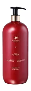 Шампунь для придания блеска и сохранения цвета окрашенных волос Greymy Zoom Color Shampoo