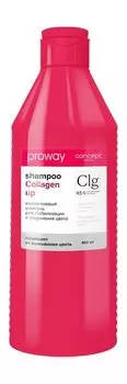 Шампунь для стабилизации и сохранения цвета волос с коллагеном Concept Moscow Proway Clg 4,5% Collagen Up Shampoo