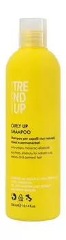 Шампунь для вьющихся волос с экстрактом листьев винограда Trend Up Curly Up Shampoo