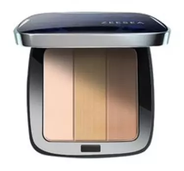 Скульптурирующая пудра для лица Zeesea Sculpting Concealer Powder