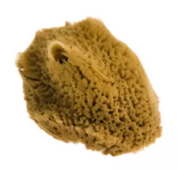 Спонж для лица Fresh Line Спонж для лица натуральный