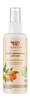 Спрей-дезодорант для тела с минеральными квасцами OZ!OrganicZone Deodorant Spray Ледяной цитрус