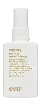 Спрей для всех типов волос c эффектом влажных пляжных локонов Evo Salty Dog Salt Spray Effet Plage Travel Size