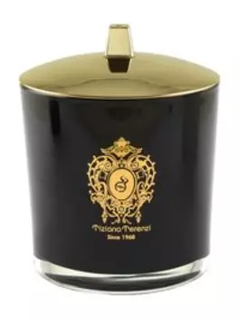 Свеча Tiziana Terenzi Camino Каминная с ароматом инжира капри в чёрном стекле