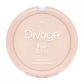 Устойчивая матирующая пудра для лица Divage True Color Matte Powder