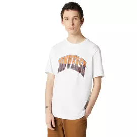 Converse Converse Twited Varsity Graphic Tee
