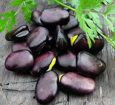 Бобы Русские Черные (10 шт.)