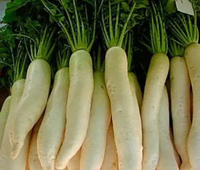 Дайкон Бивень Мамонта (1 гр.)