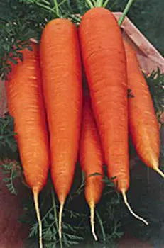 Морковь Холидей F1 (2 гр.)