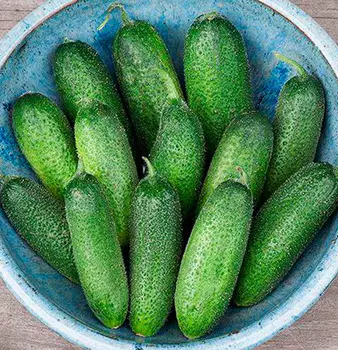 Огурец Адам F1 (10 шт.)