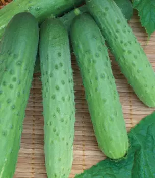 Огурец Флагман F1 (12 шт.)