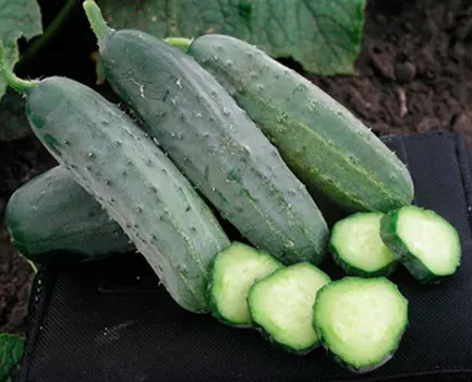 Огурец Гектор F1 (10 шт.)