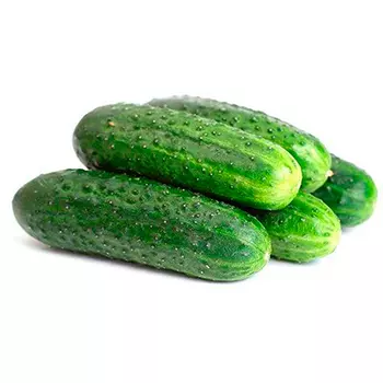 Огурец Энеж 21 F1 (12 шт.)