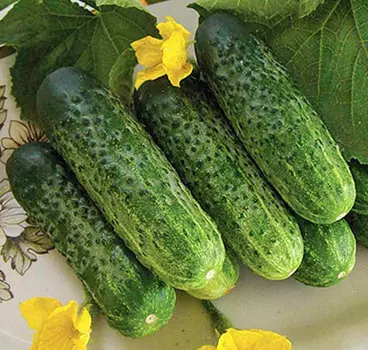 Огурец Надюша F1 (10 шт.)