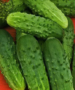 Огурец Пионер F1 (12 шт.)