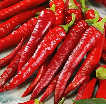 Перец острый Клайд F1 (0,1 гр.)