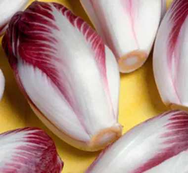 Салат цикорный Диетический (0,2 гр.)