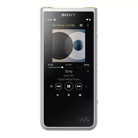 Плеер Sony Walkman NW-ZX507, цвет: серебристый