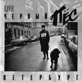 Виниловая пластинка ДДТ - Черный Пес Петербург (1992)