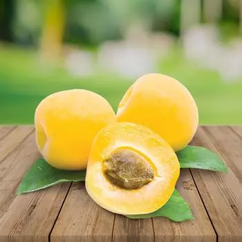 Абрикос Бархатный