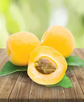 Абрикос Бархатный