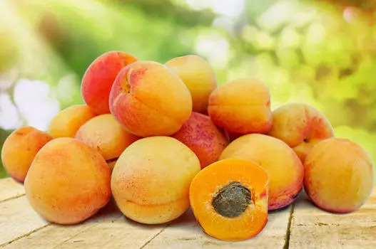 Абрикос Графиня