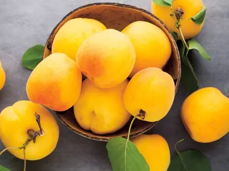 Абрикос Викинг