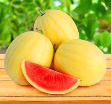 Арбуз Золото Волицы F1