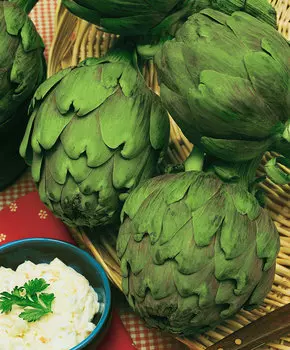 Артишок Грин глоуб