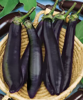 Баклажан Афалина F1