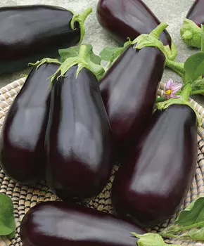 Баклажан Мирвал F1