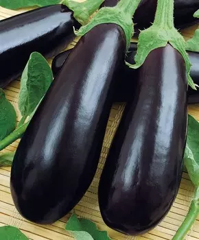 Баклажан Навал F1