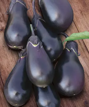 Баклажан Одиссей F1