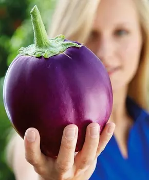 Баклажан Шалун F1