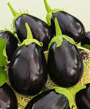 Баклажан Тиррения F1