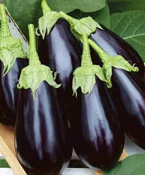 Баклажан Ультраранний F1